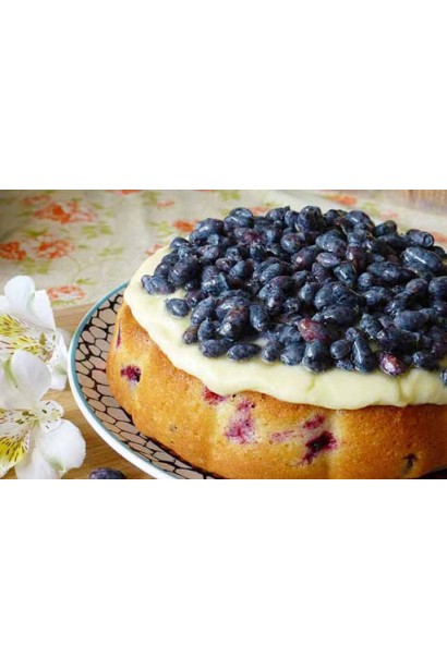 Лоніцера їстівна Донька Велетня у випічці