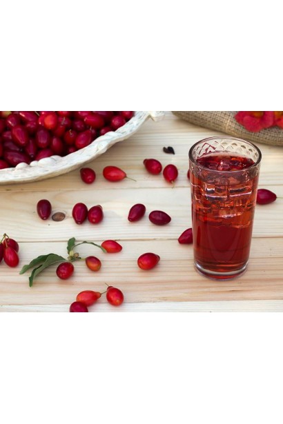 Cornus mas Volodimirskij