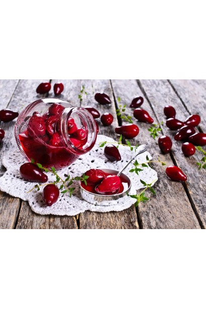 Cornus mas Lukyanovskij