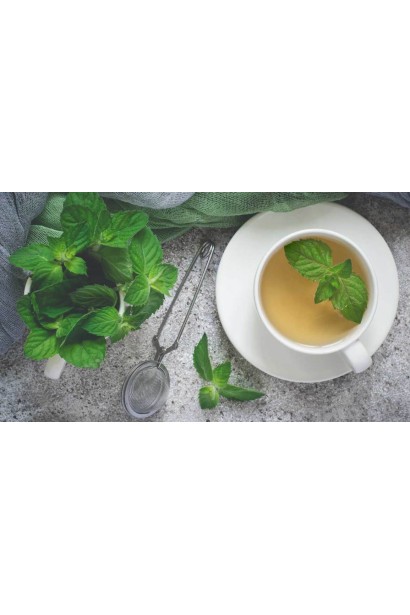Mentha Ginger Min