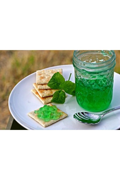 М’ята гібридна імбирна Джинджер Мінт