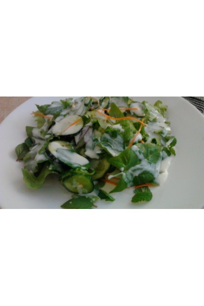 М’ята гібридна імбирна Джинджер Мінт