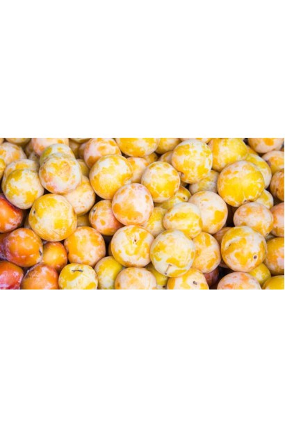 Врожай сливи Афаска