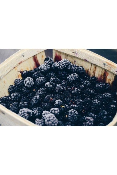 Ожина безколючкова Чачанска Бестрна