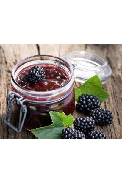 Rubus fruticosus Columbia Star