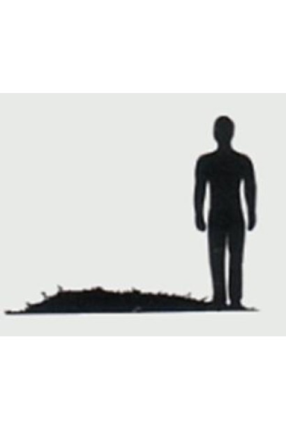 Ялівець горизонтальний Джейд Рівер- співвідношення розміру зі зростом людини