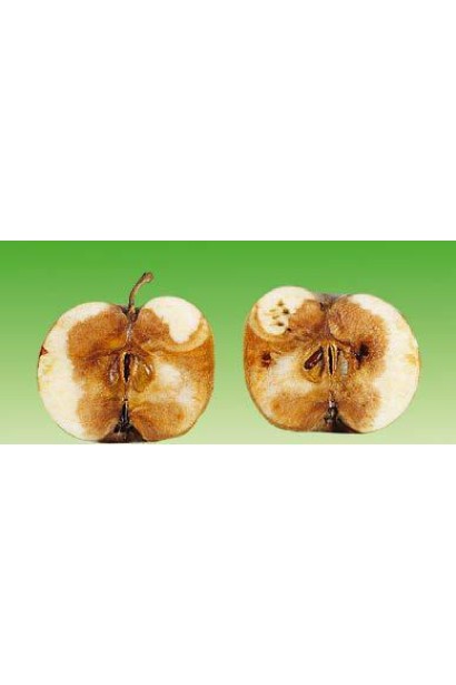 Ридоміл Голд MZ 68 WG, 25 г