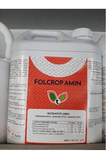 Фолькроп Амин 