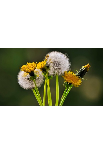 Ураган Форте 500 SL, в. м к.