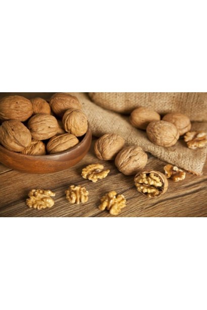 Горіх грецький Еліта Зелениці