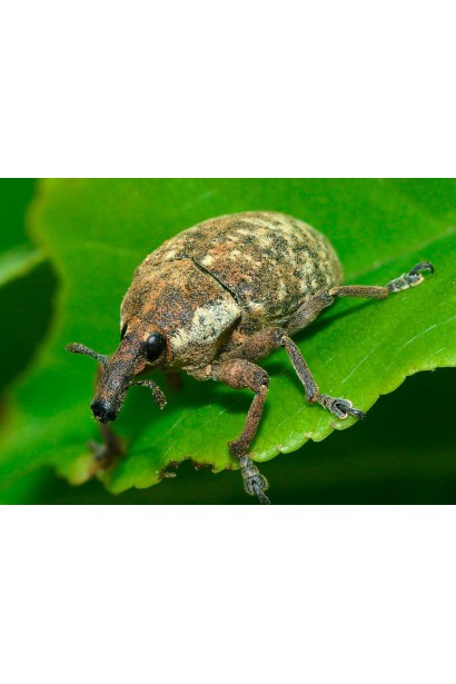 Комплект №3