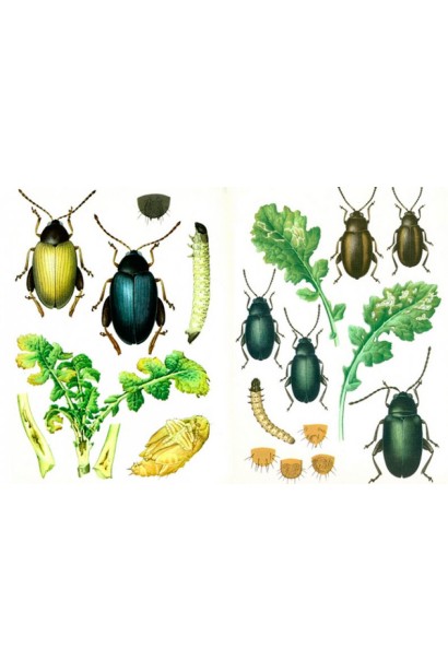 Комплект №4