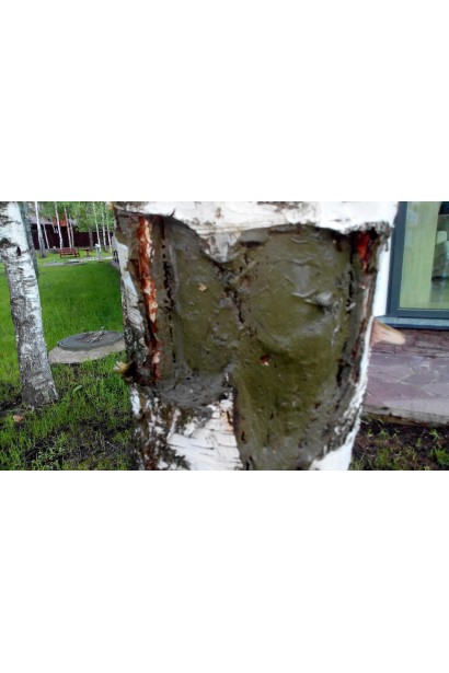 Лак бальзам