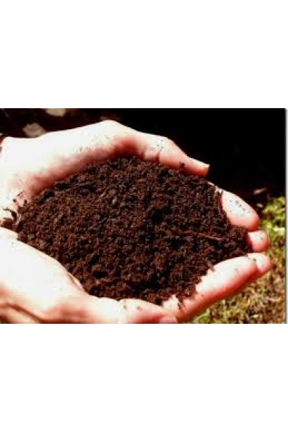 Торф низинний