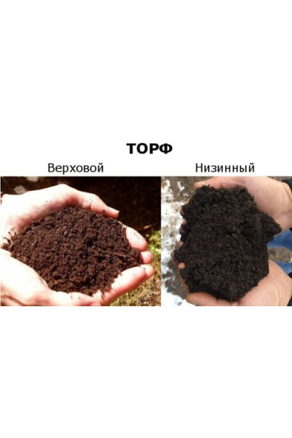 Торф низинний