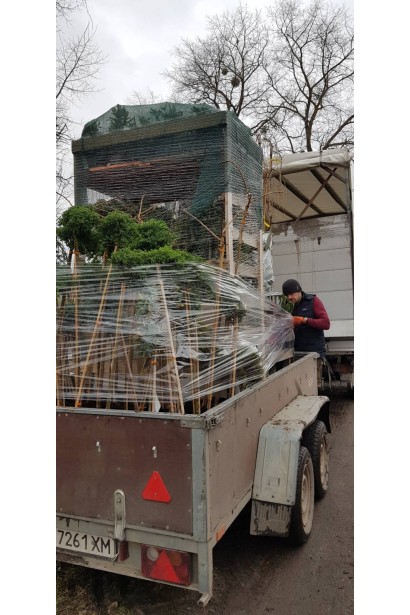 Дерев’яна європалета — основа логістики та складування