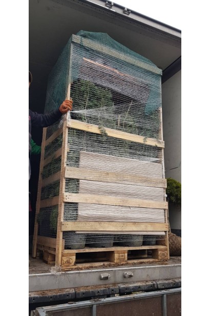 Європалета — ключовий елемент автоматизованих складських систем