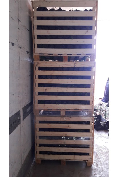 Європалета