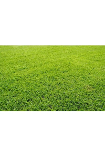 Газонна трава Turfline ORNAMENTAL