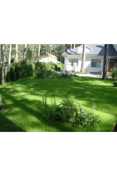 Газонна трава Turfline 