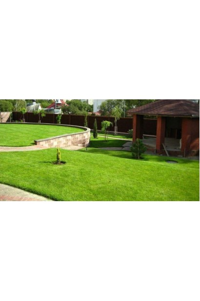 Газонна трава 