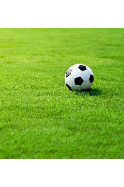 Газонна трава Спорт