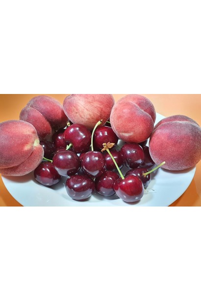 Черешня Стаккато - замечательный поздний урожай красных ягод.