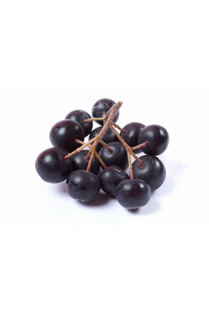 Ягоди горобини чорноплідної 