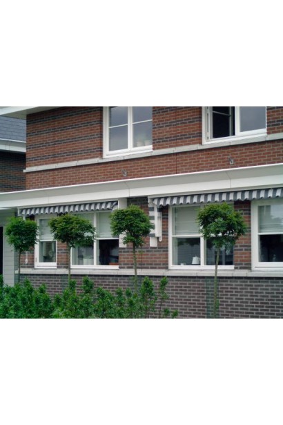 Глід одноматочковий Компакта (кулястий) | Боярышник однопестичный Компакта (шаровидный) | Crataegus monogyna Сompacta