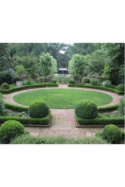 Топіар – зелений елемент формального саду