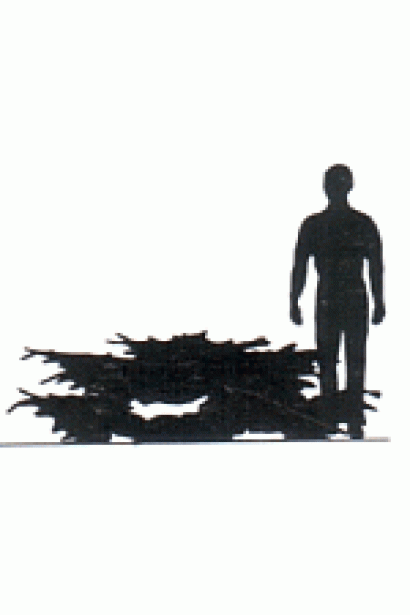 Ялівець Голд Кост в порівнянні з людиною