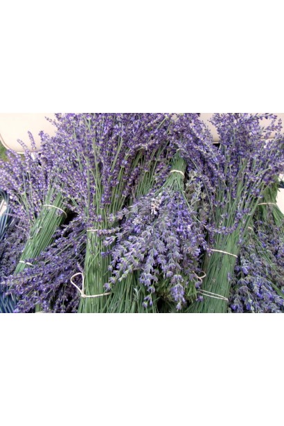 Лаванда колоскова Хідкот в букетах