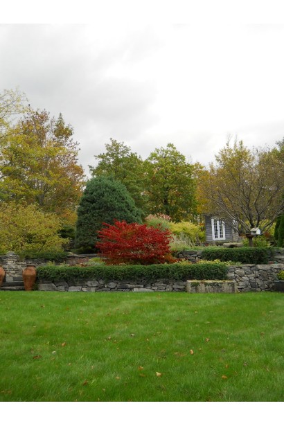 Калина Cascade в ландшафті восени