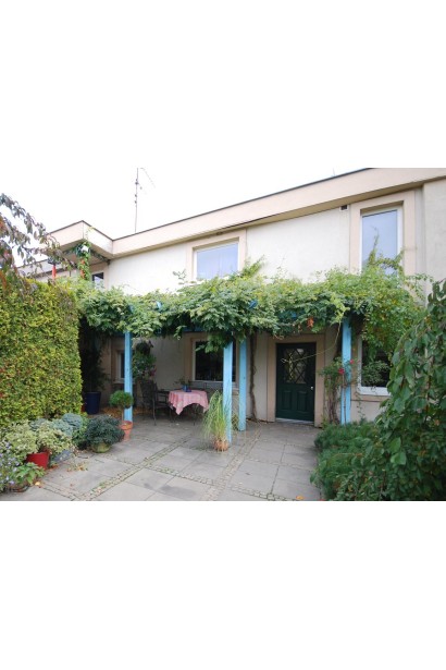 Гліцинія китайська в якості зеленого даху