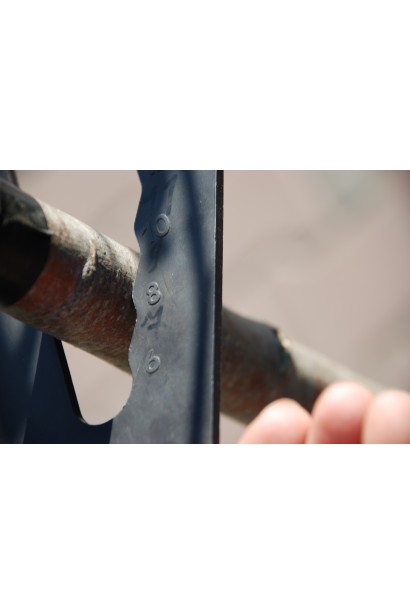 Malus domestica Nest