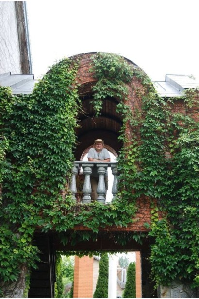 Виноград дівочий тризагострений Вічі | Виноград девичий триостренный Вичи | Parthenocissus tricuspidata Veitchii