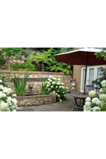 Гортензія  Аннабель в ландшафті