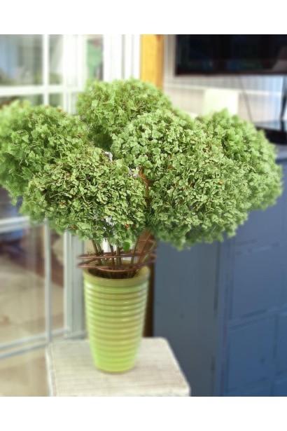 Гортензія Стронг Аннабель букет з квітів