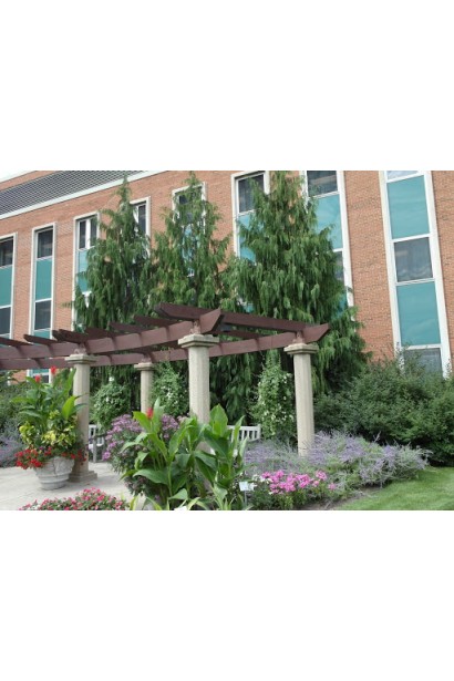 Кипарисовик нутканський Пендула в ландшафті