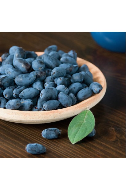 Плоди жимолості камчатської їстівної