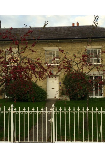 Яблуня райська для створення яскравого садового образу.