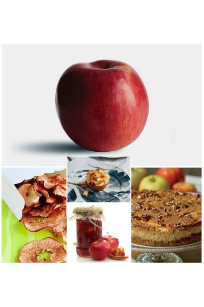 Malus domestica Idared