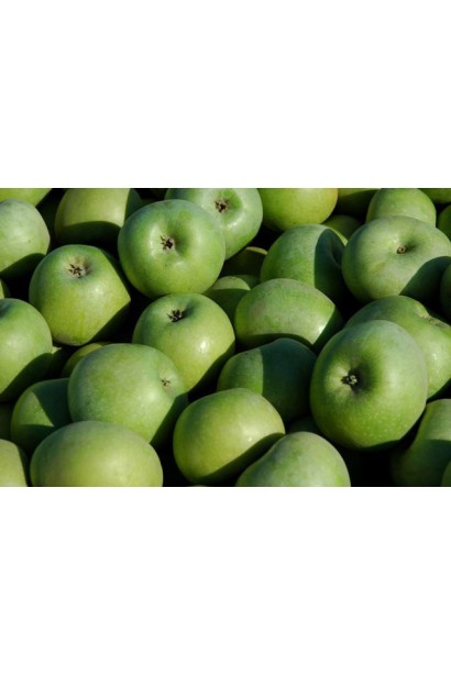 Malus domestica Reinette Simirenko — соковиті яблука для тривалого зберігання.