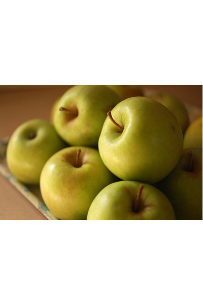 Malus domestica Mutsu — великі, соковиті яблука з чудовим ароматом.