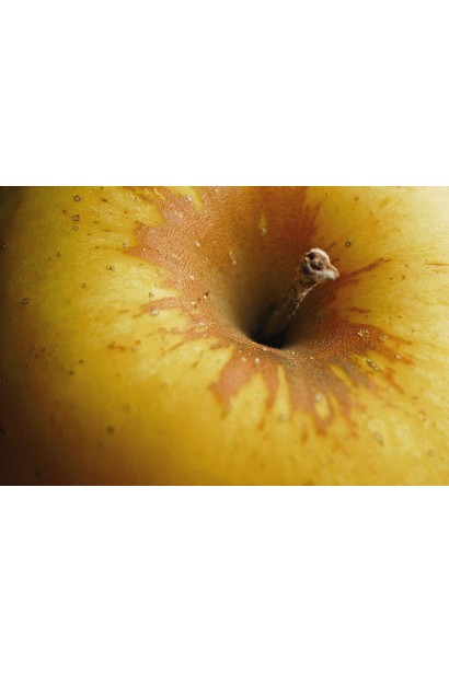 Яблуня домашня Мутсу (зимова)