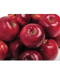 Яблоня домашняя Рубин-Стар (осенняя) | Яблуня домашня Рубін-Стар (осіння) | Malus domestica Rubin-Star