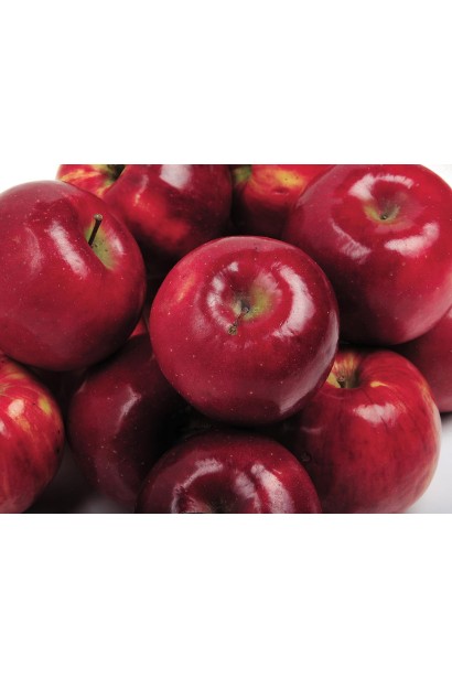 Осенний сорт яблок Рубин-Стар с длительным хранением.