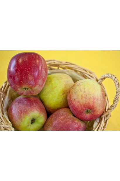 Сочные плоды сорта Флорина для салатов и перекусов.