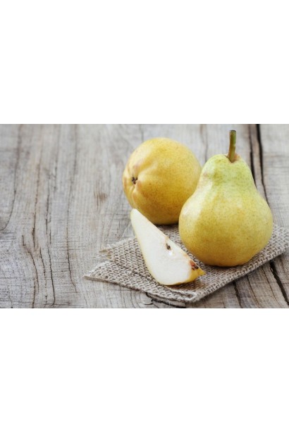 Груша звичайна Вільямс жовтувато-біла м’якоть