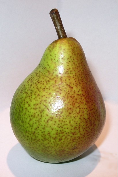 Груша звичайна Улюблениця Клаппа